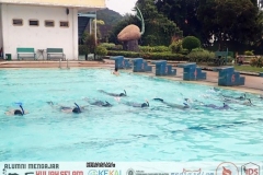 Water skill practise: fin swimming